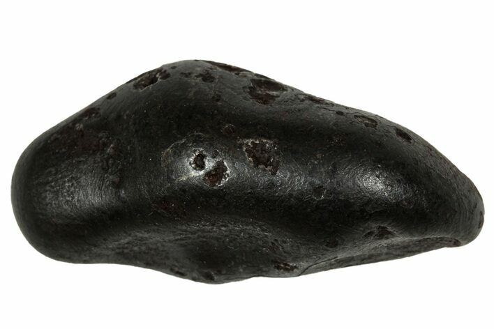 Fusion Crusted Sikhote-Alin Iron Meteorite ( g) - Russia #334576